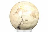 Petrified Wood (Tropical Hardwood) Sphere - Indonesia #266098-1